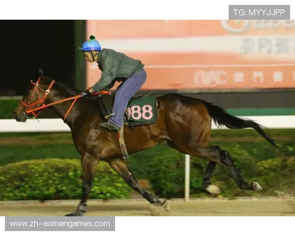 澳门赛马官网最新优惠活动,注册会员享受专属折扣与丰富礼遇 澳门赛马官网最新优惠活动,注册会员享受专属折扣与丰富礼遇